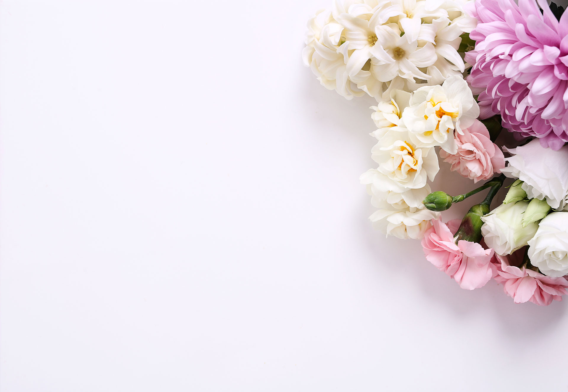 flowers-bouquet-white-background