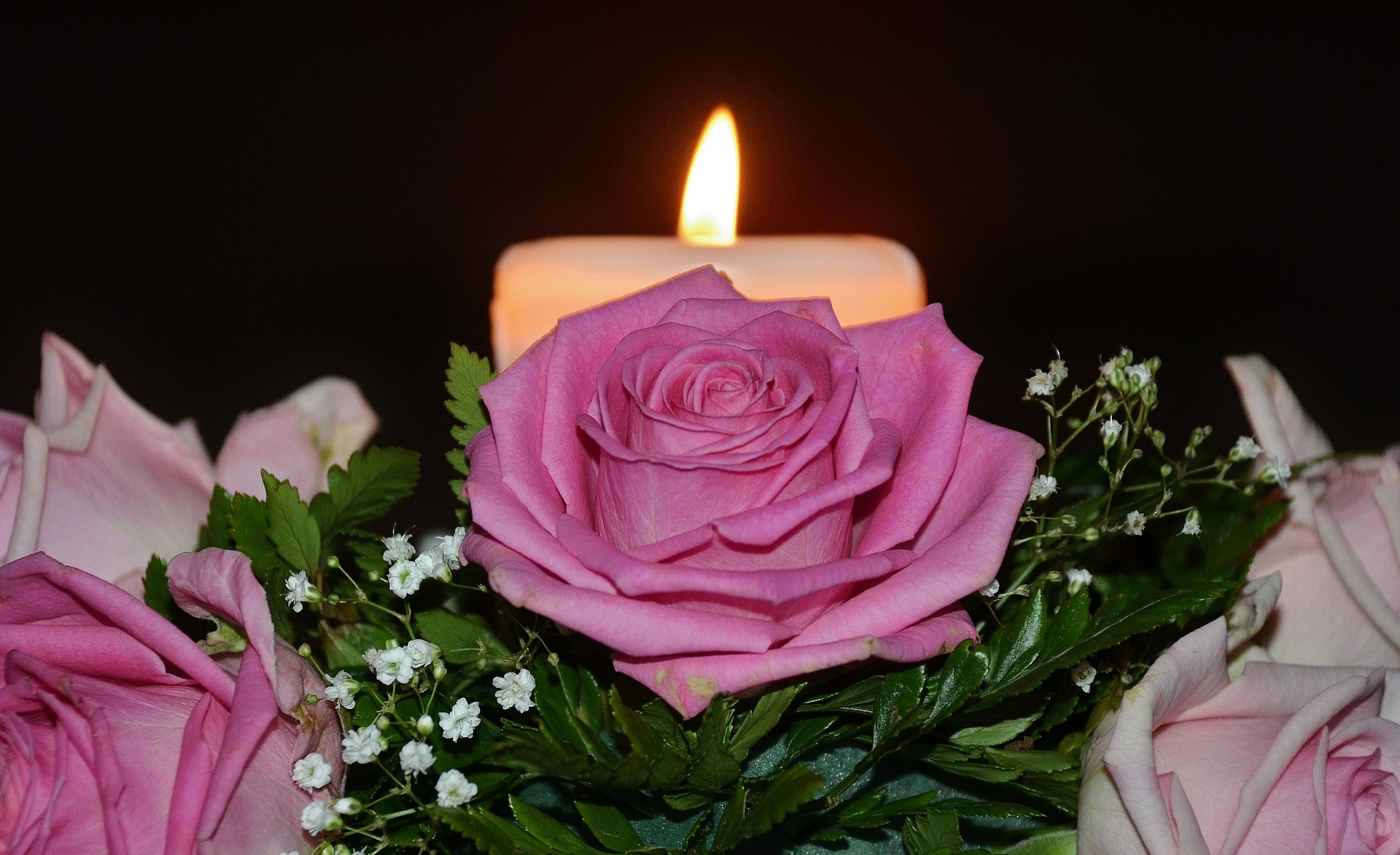 rose et bougie