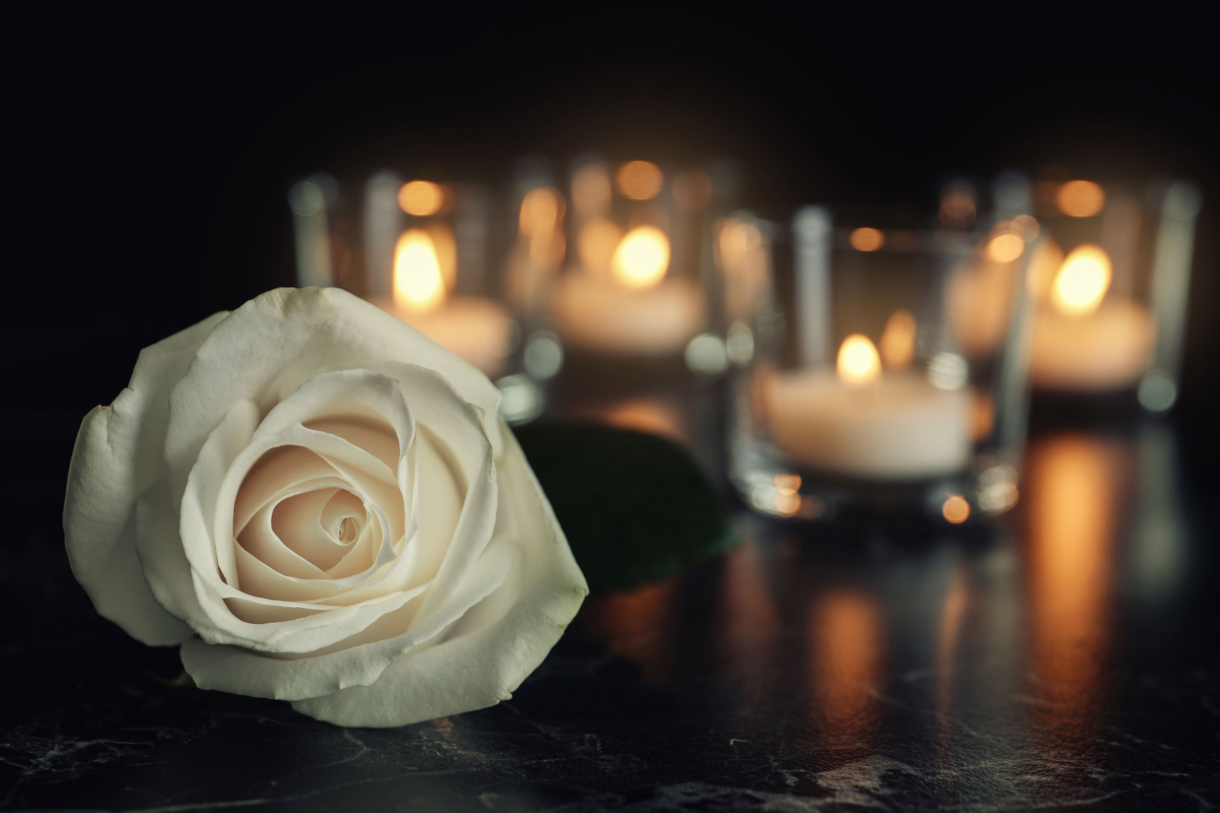 rose et bougies